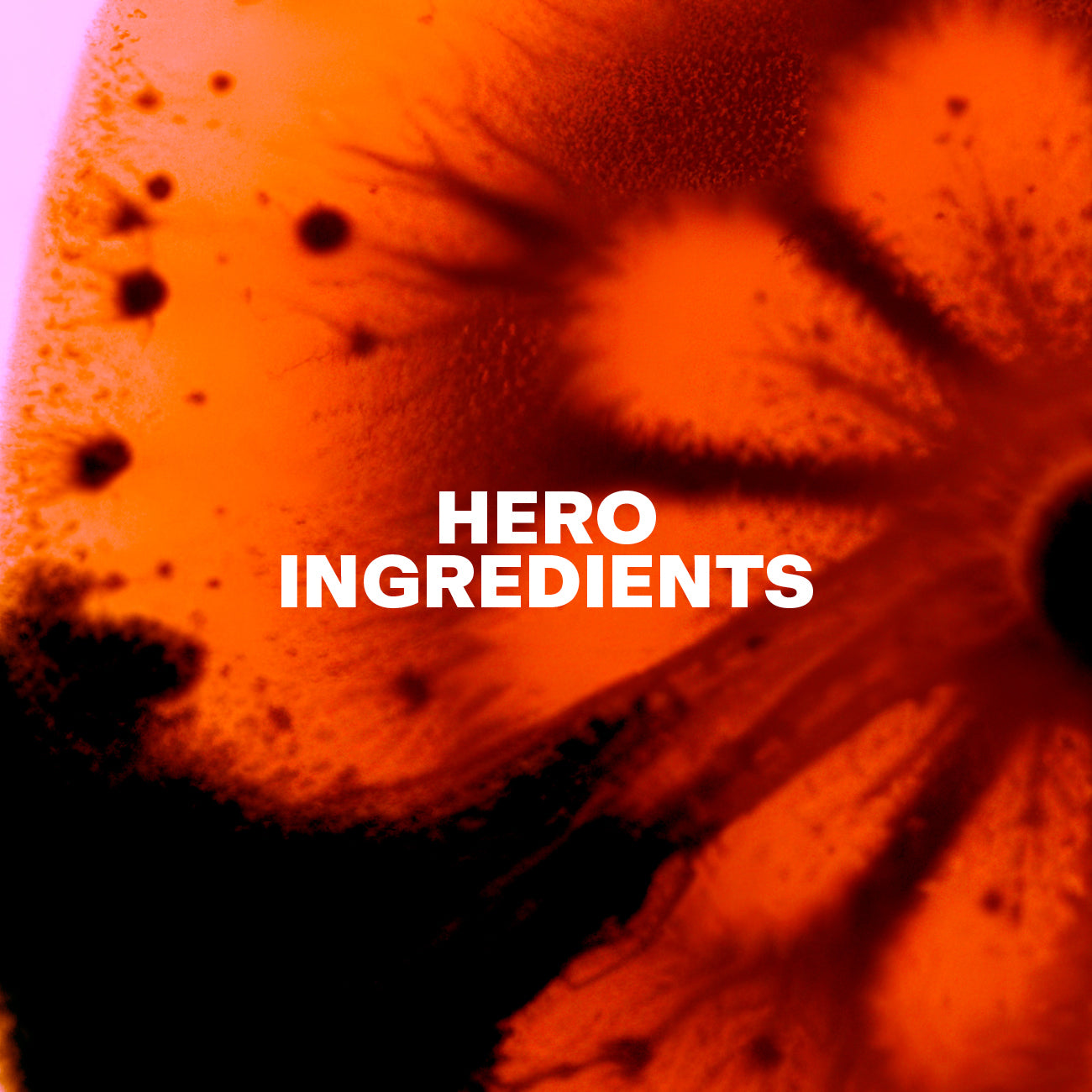 Hero Ingredients Barrier Boost