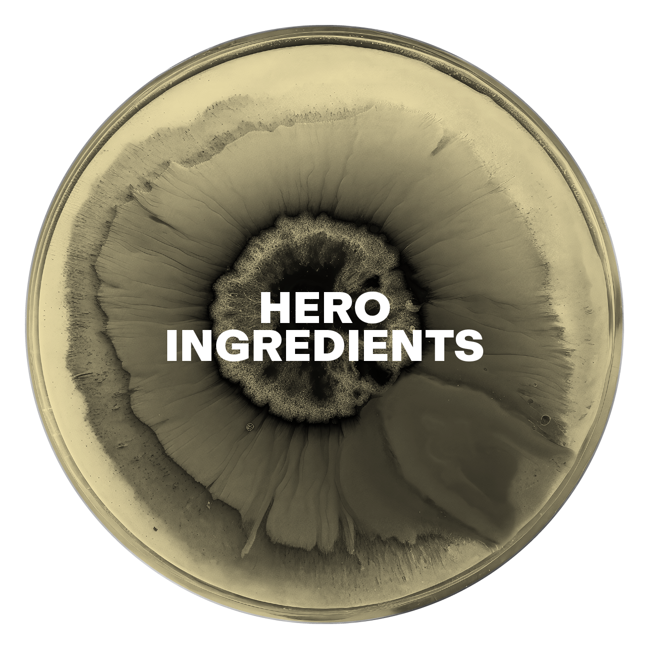 Hero Ingredients SPF