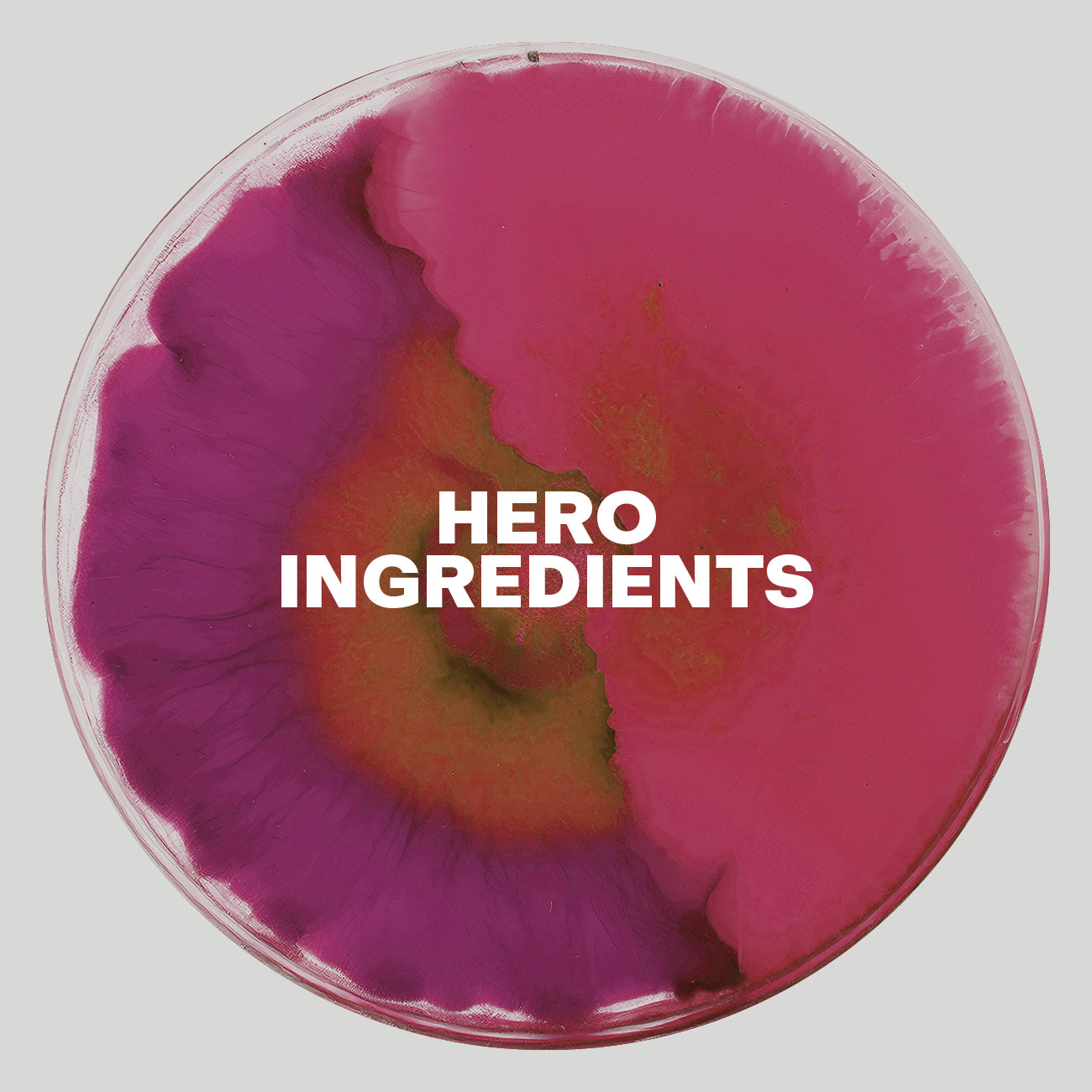 Hero ingredients of the new DR. EMI tinted lip balms