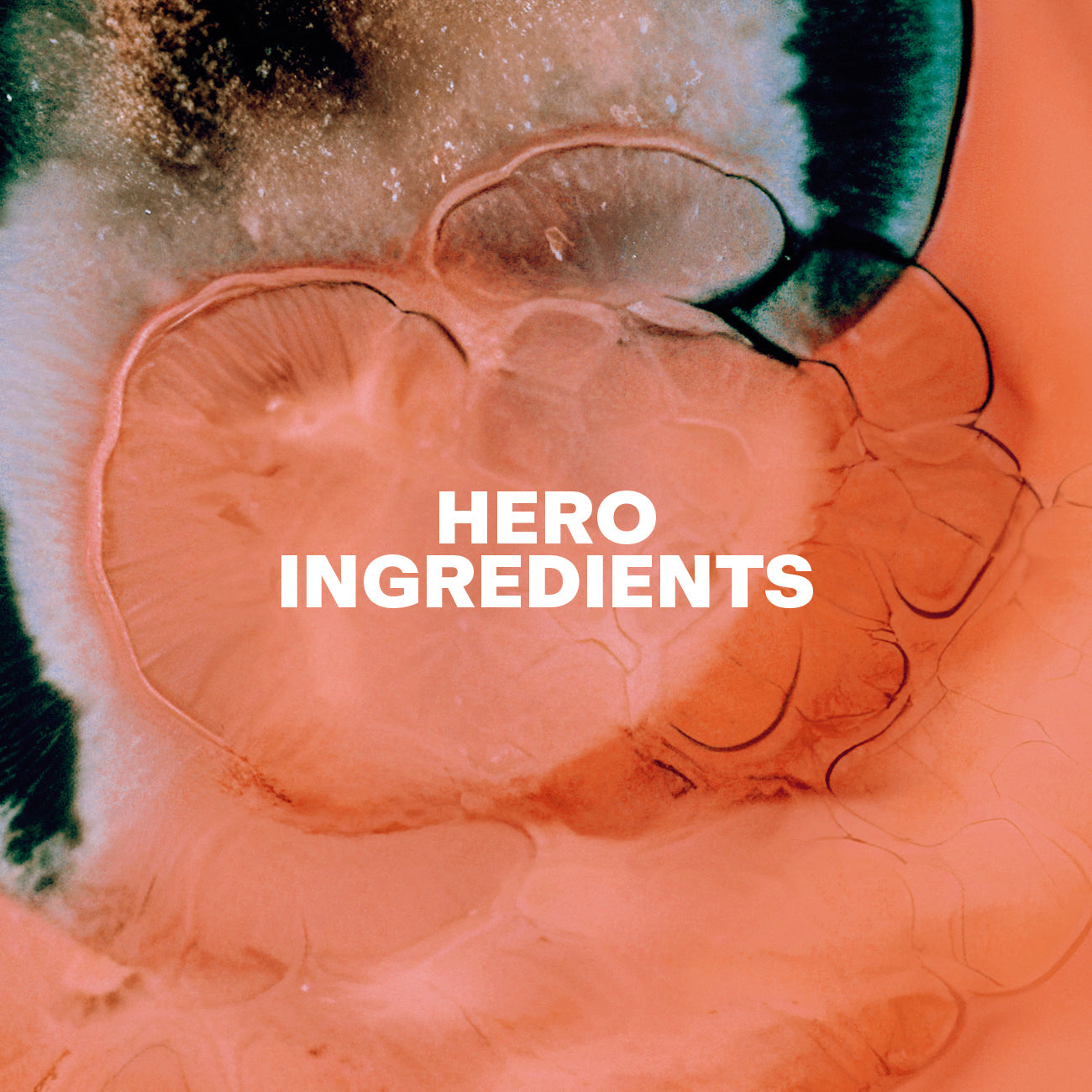 Hero Ingredients Serious C